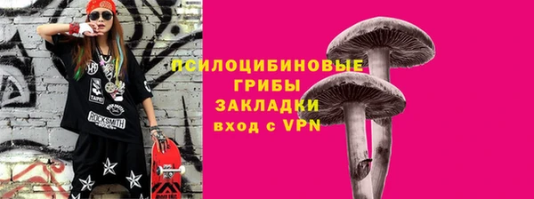 СК Новочеркасск