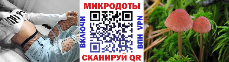 Галлюциногенные грибы Magic Shrooms  Морозовск 
